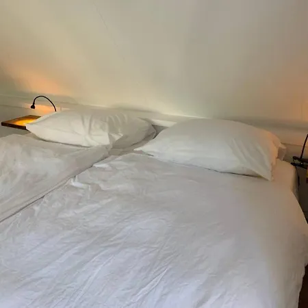 Have A Stay! - Pelican Dune Near The