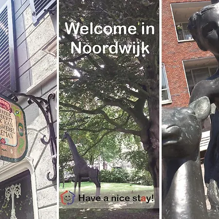 Have A Stay! - Pelican Dune Near The *