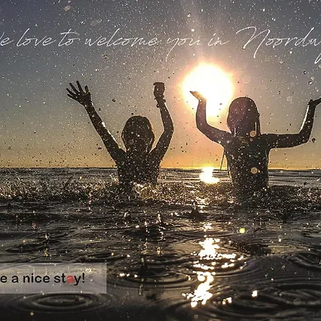 Have A Stay! - Pelican Dune Near The Noordwijk