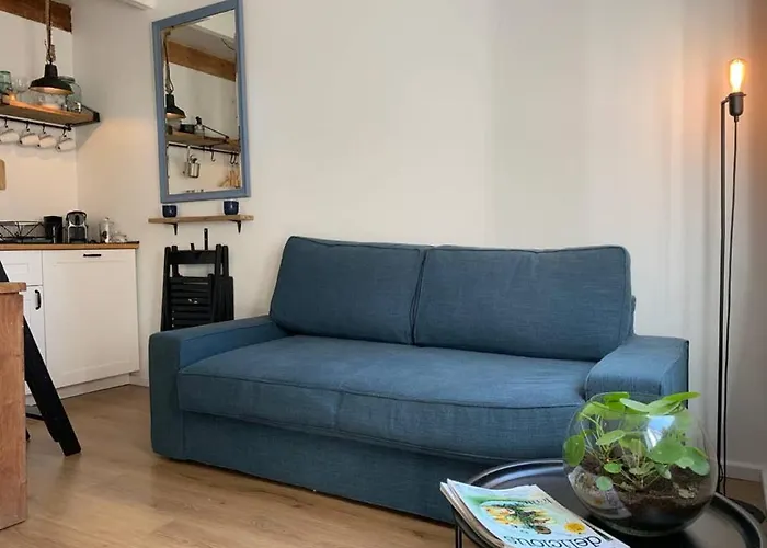 Have A Stay! - Pelican Dune Near The Noordwijk