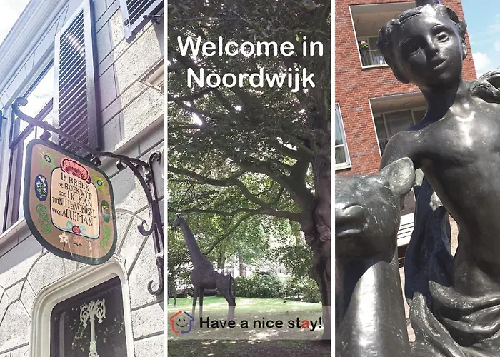 Have A Stay! - Pelican Dune Near The *